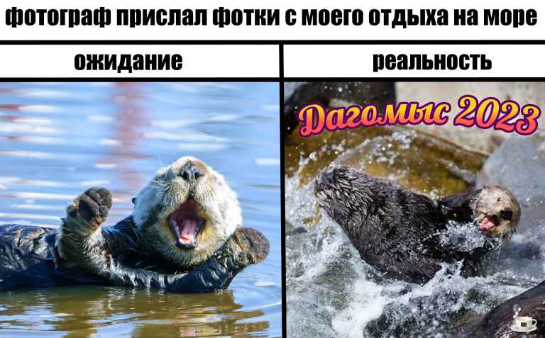 План Кинаки - мемы про выдр и других животных