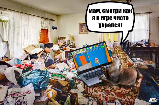 План Кинаки - мемы про выдр и других животных