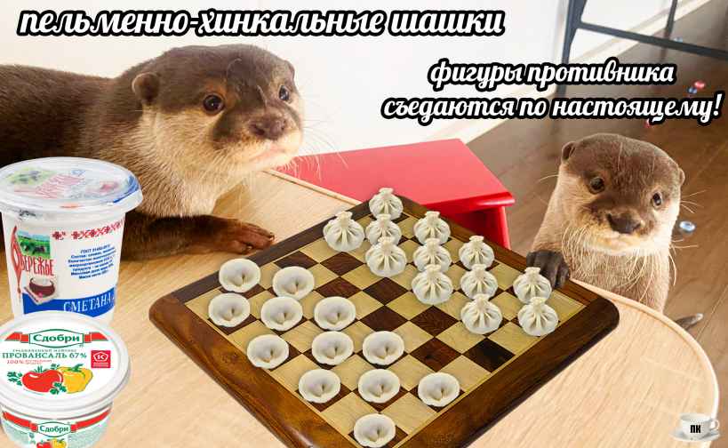 План Кинаки - мемы про выдр и других животных