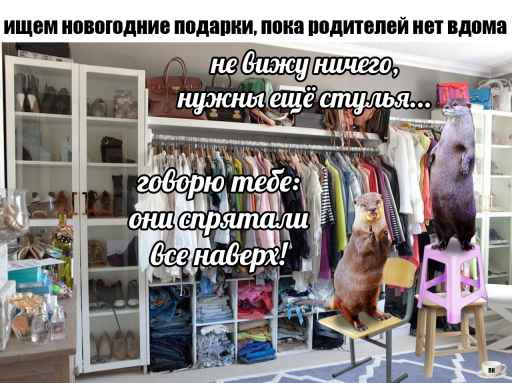 План Кинаки - мемы про выдр и других животных