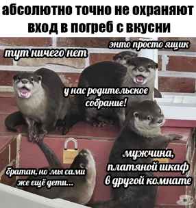 План Кинаки - мемы про выдр и других животных