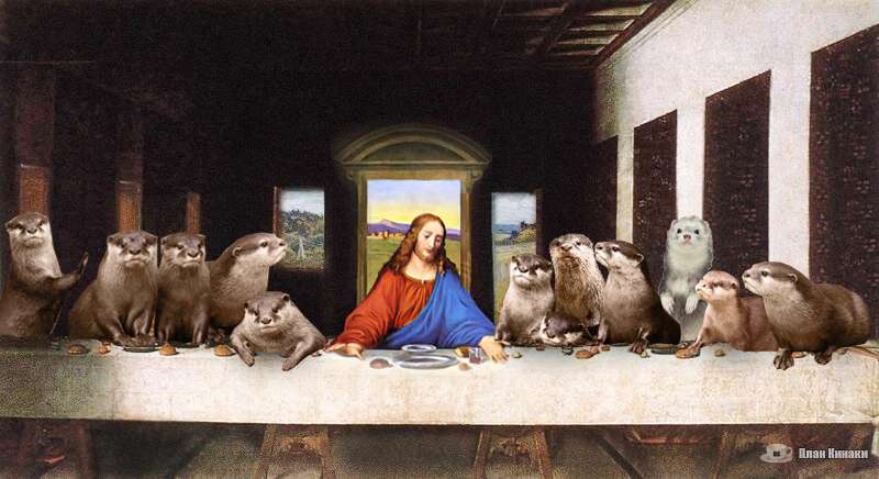 План Кинаки - мемы про выдр и других животных