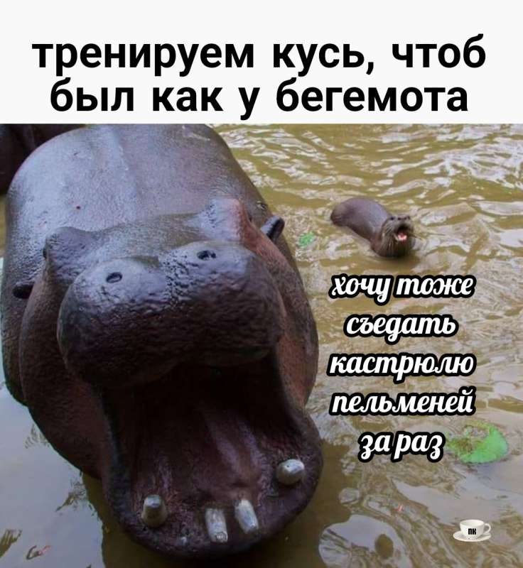 План Кинаки - мемы про выдр и других животных