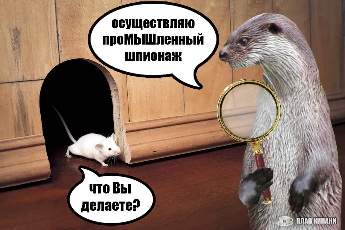 План Кинаки - мемы про выдр и других животных