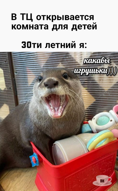 План Кинаки - мемы про выдр и других животных