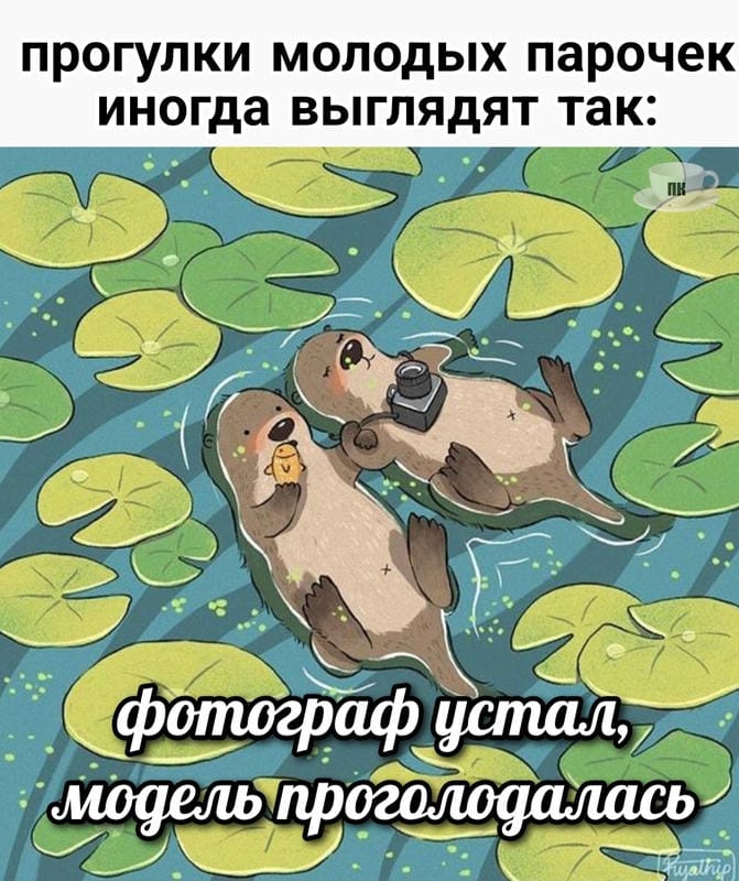План Кинаки - мемы про выдр и других животных