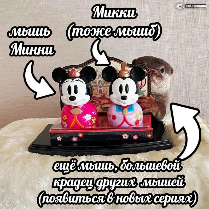 План Кинаки - мемы про выдр и других животных