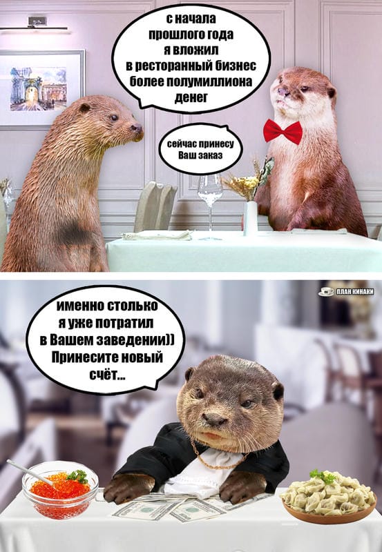 План Кинаки - мемы про выдр и других животных