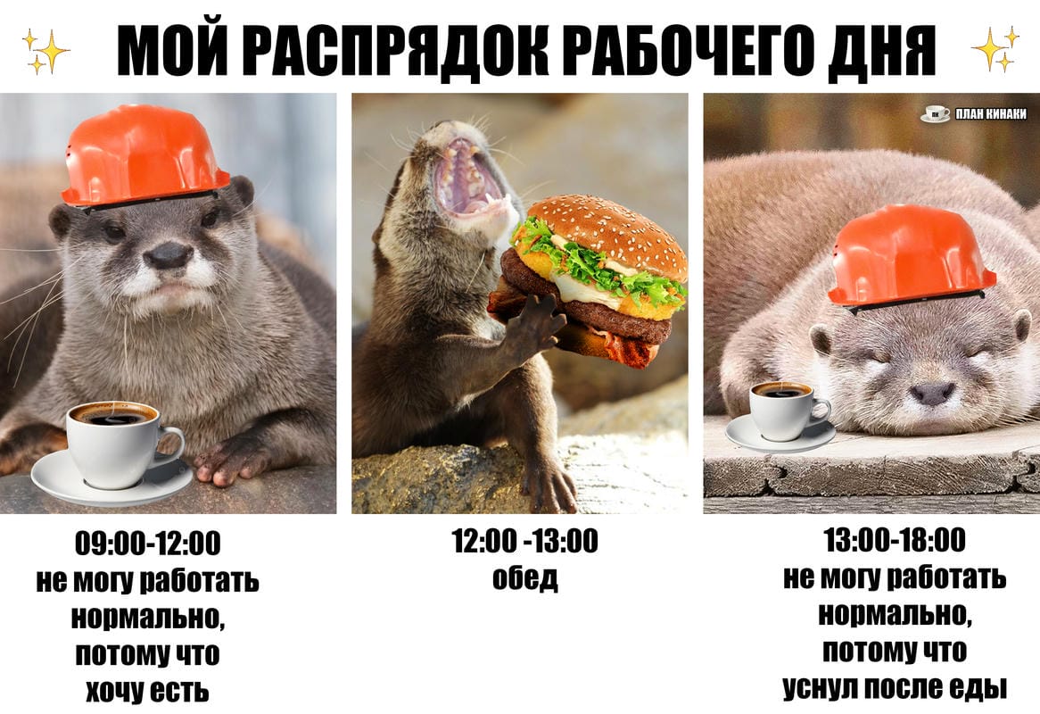 План Кинаки - мемы про выдр и других животных