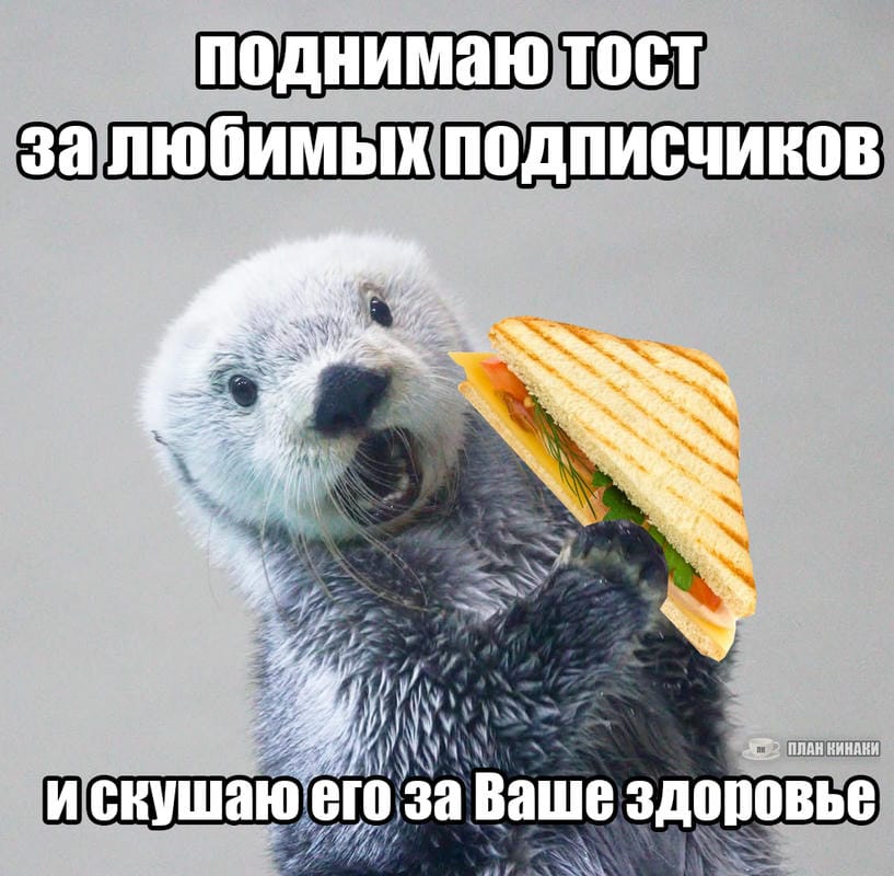 План Кинаки - мемы про выдр и других животных