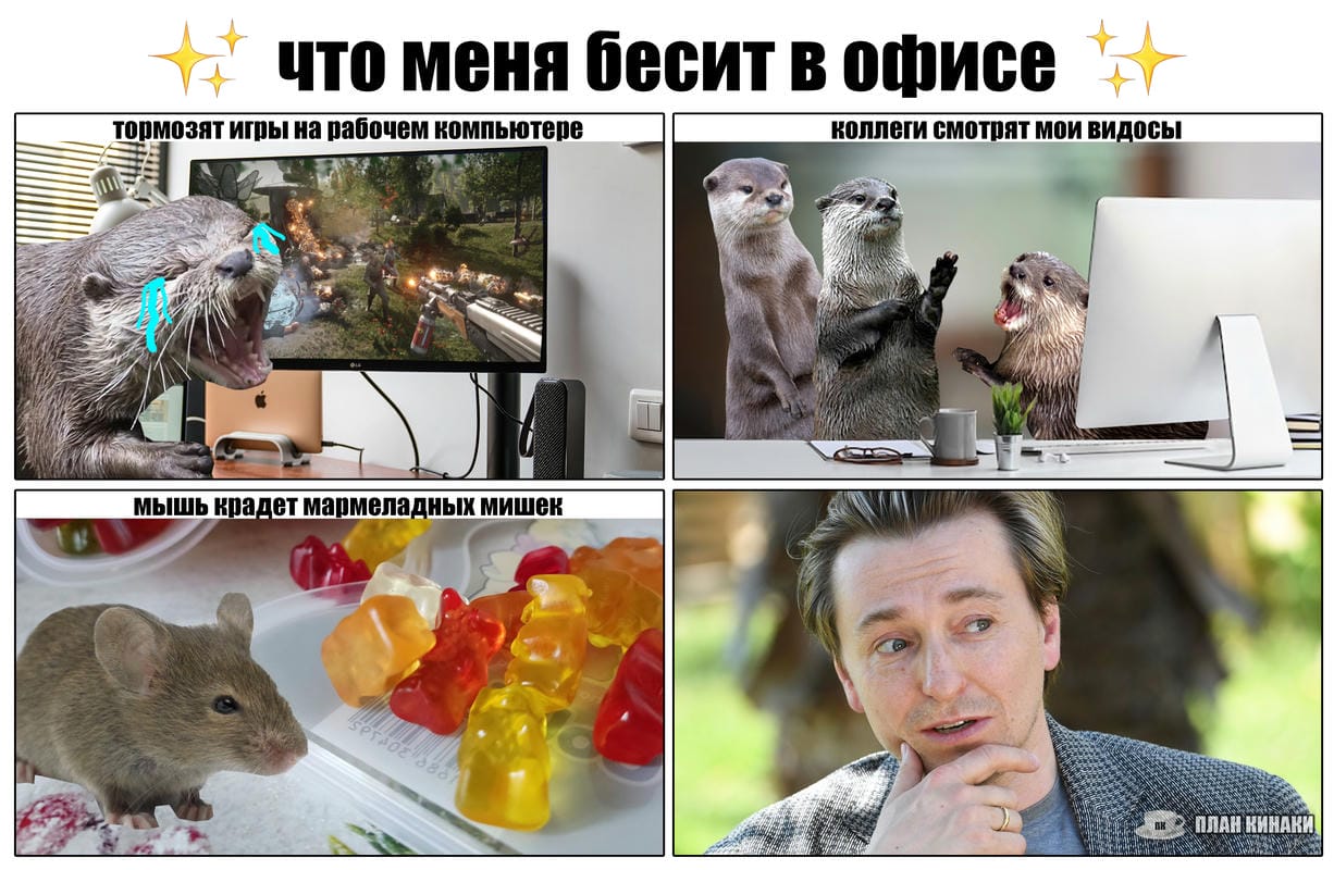 План Кинаки - мемы про выдр и других животных