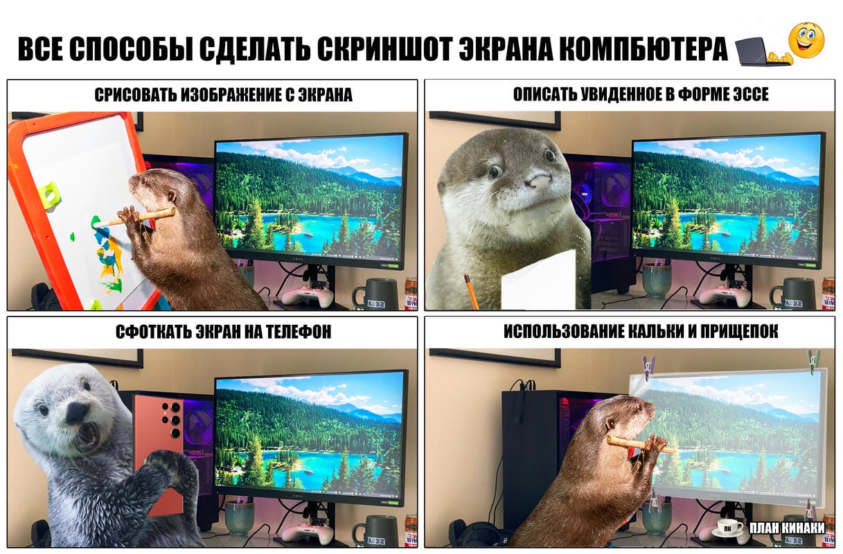 План Кинаки - мемы про выдр и других животных