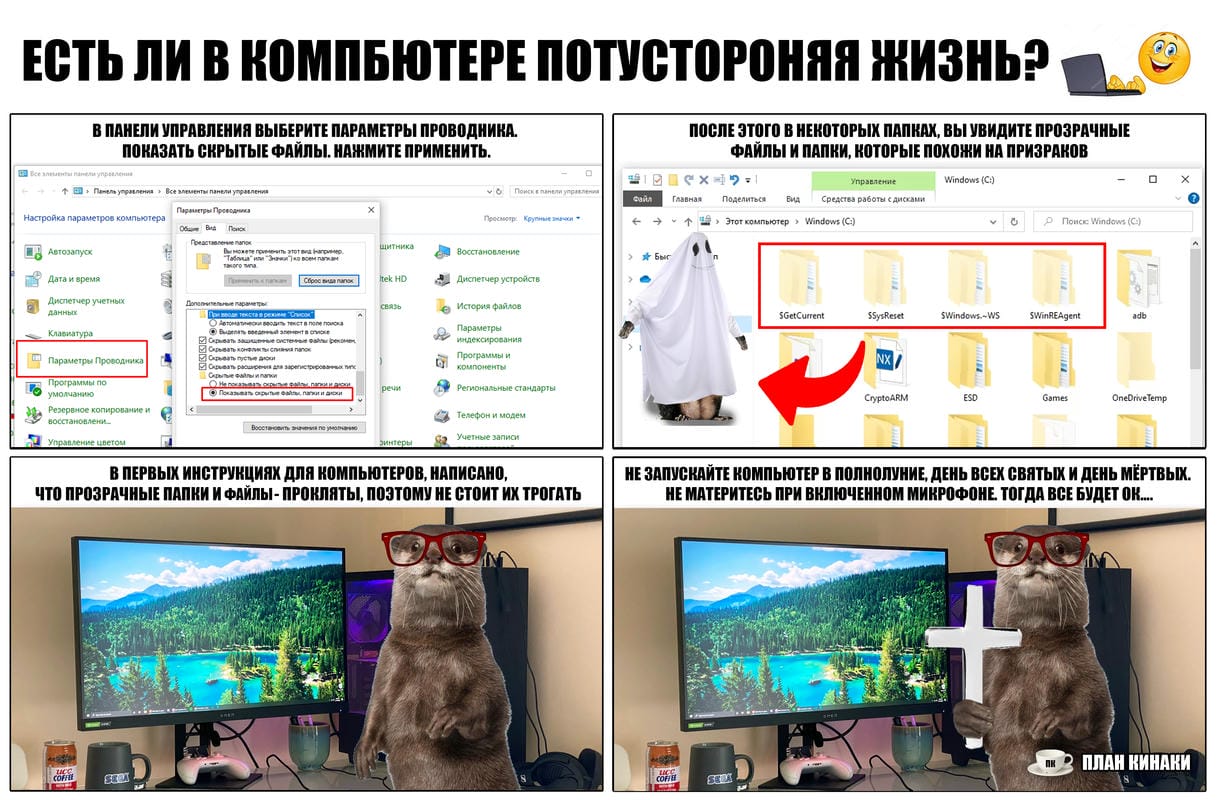 План Кинаки - мемы про выдр и других животных