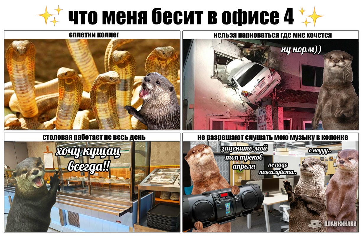 План Кинаки - мемы про выдр и других животных