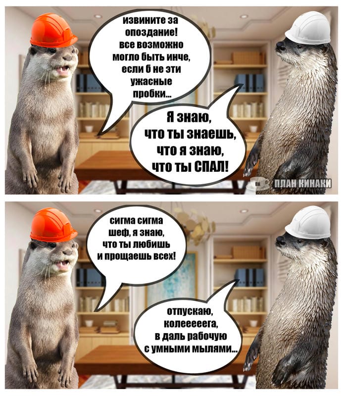 План Кинаки - мемы про выдр и других животных