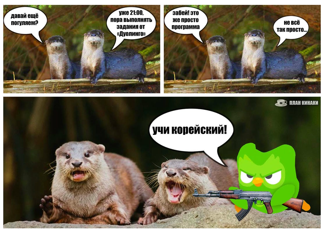 План Кинаки - мемы про выдр и других животных
