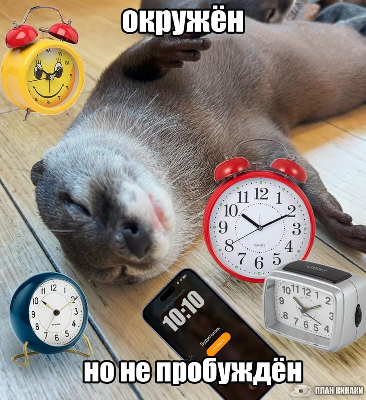 План Кинаки - мемы про выдр и других животных