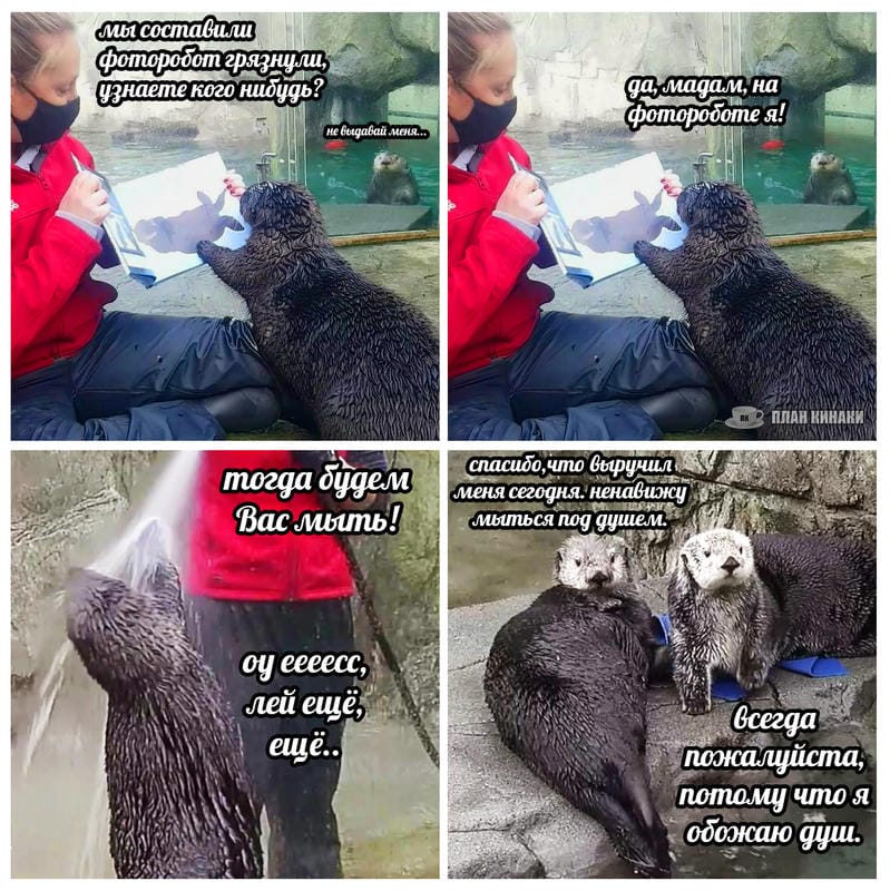 План Кинаки - мемы про выдр и других животных