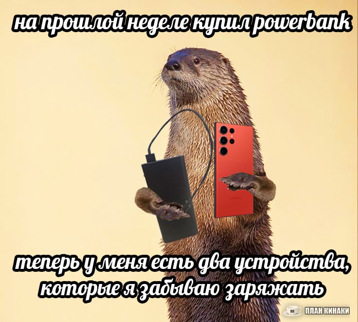 План Кинаки - мемы про выдр и других животных