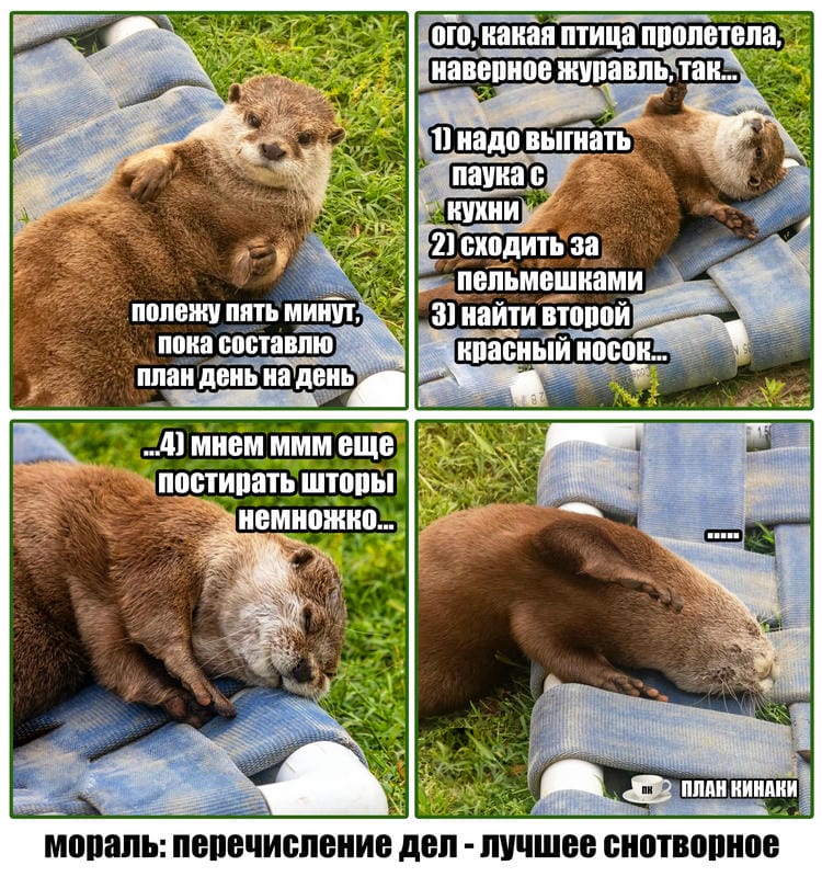 План Кинаки - мемы про выдр и других животных