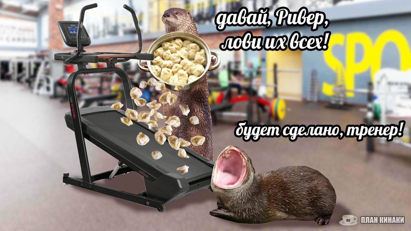 План Кинаки - мемы про выдр и других животных