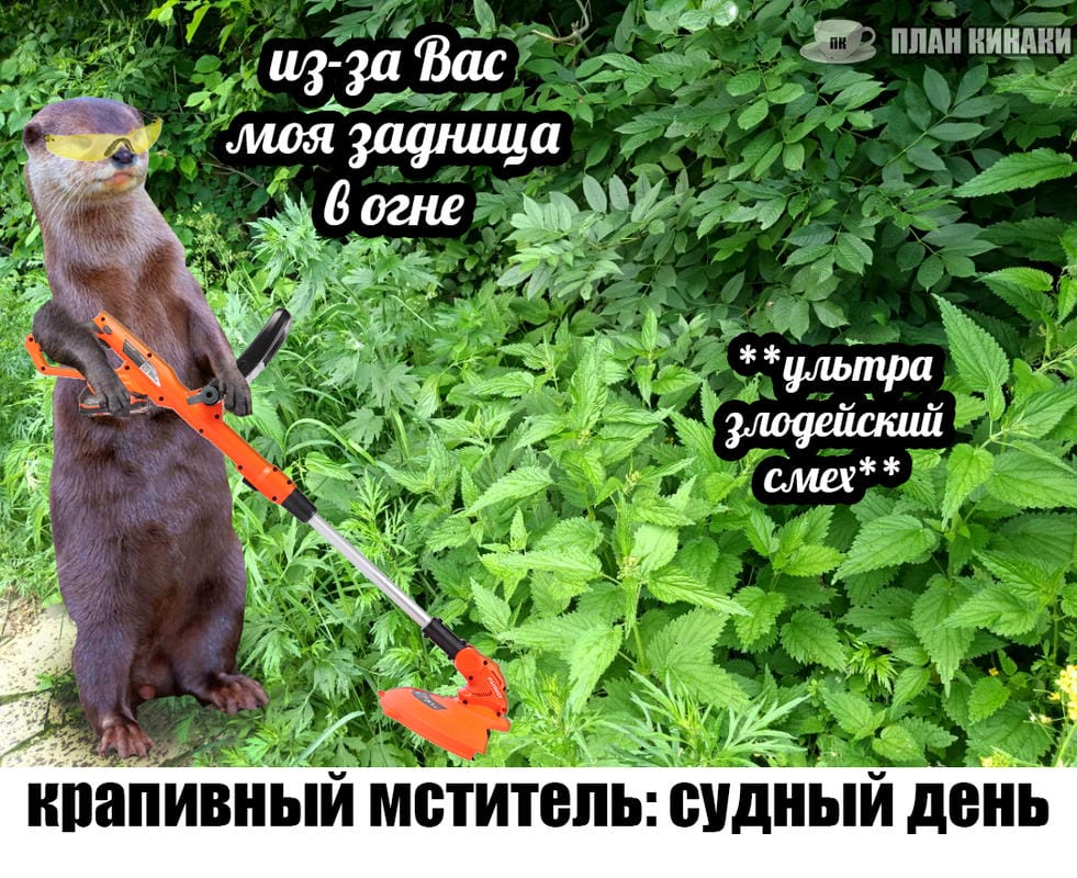 План Кинаки - мемы про выдр и других животных