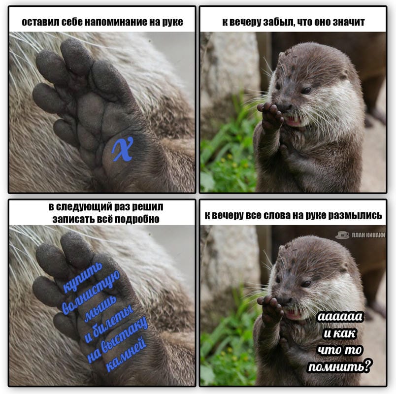 План Кинаки - мемы про выдр и других животных