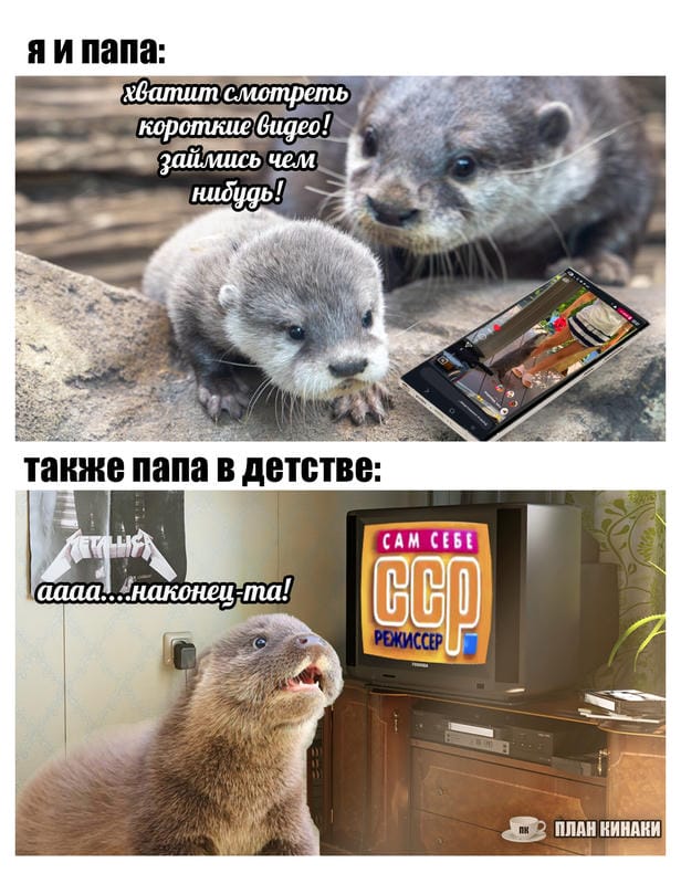 План Кинаки - мемы про выдр и других животных