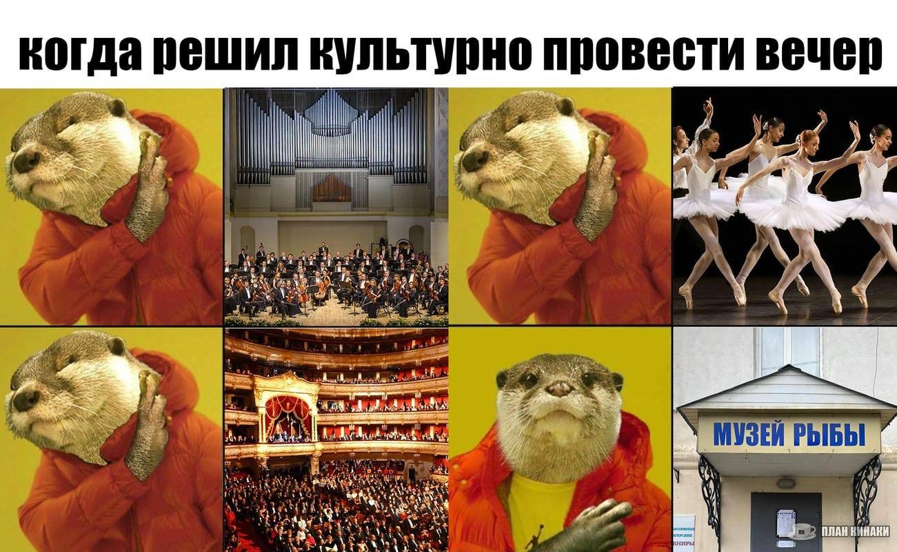План Кинаки - мемы про выдр и других животных