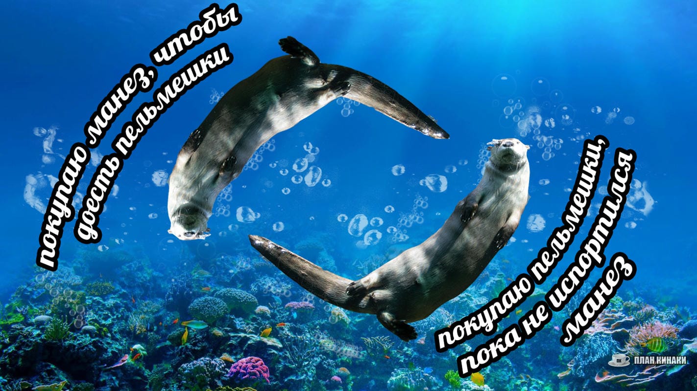 План Кинаки - мемы про выдр и других животных