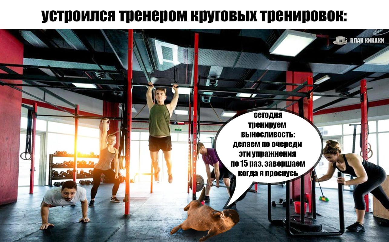 План Кинаки - мемы про выдр и других животных