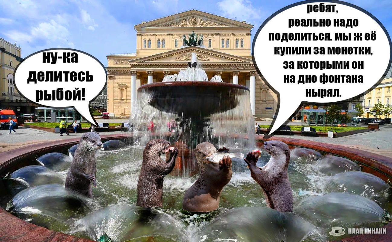 План Кинаки - мемы про выдр и других животных