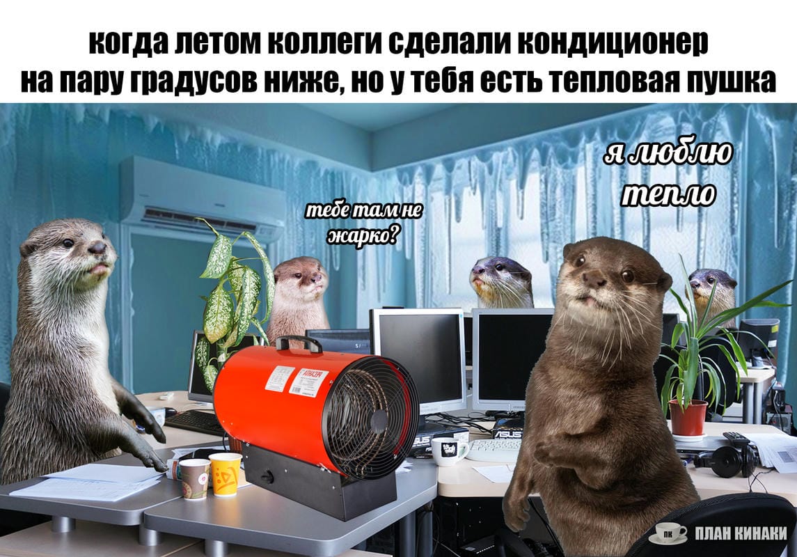 План Кинаки - мемы про выдр и других животных
