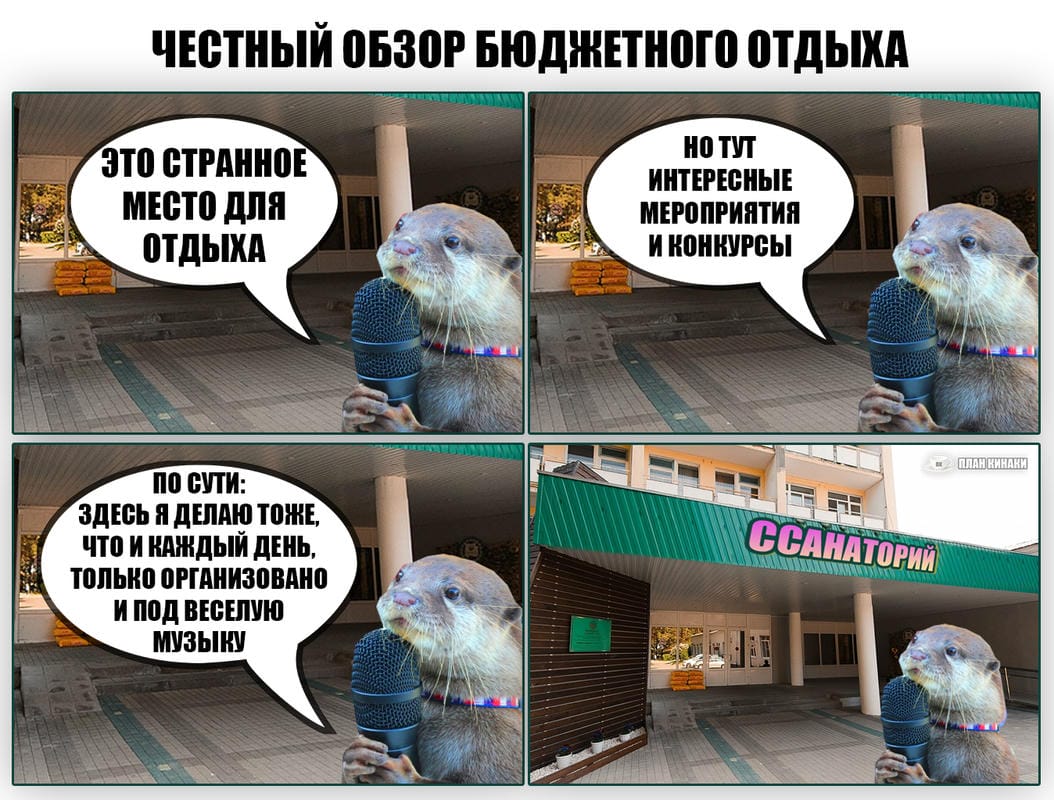 План Кинаки - мемы про выдр и других животных