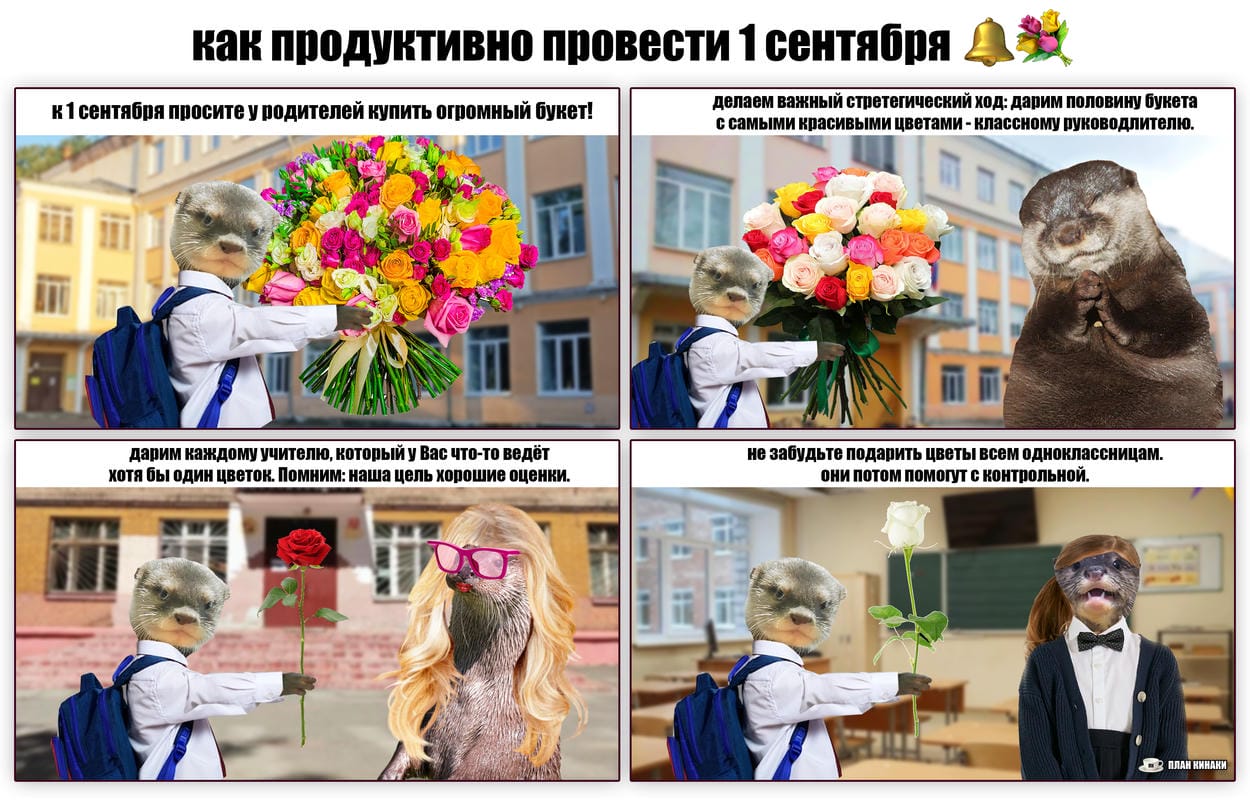 План Кинаки - мемы про выдр и других животных