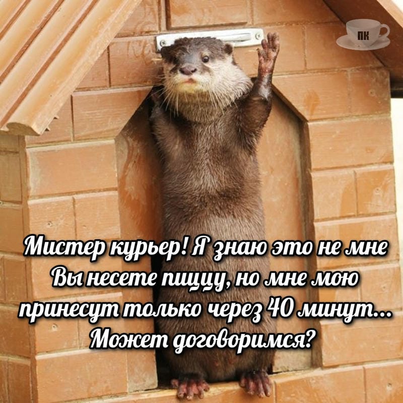 План Кинаки - мемы про выдр и других животных