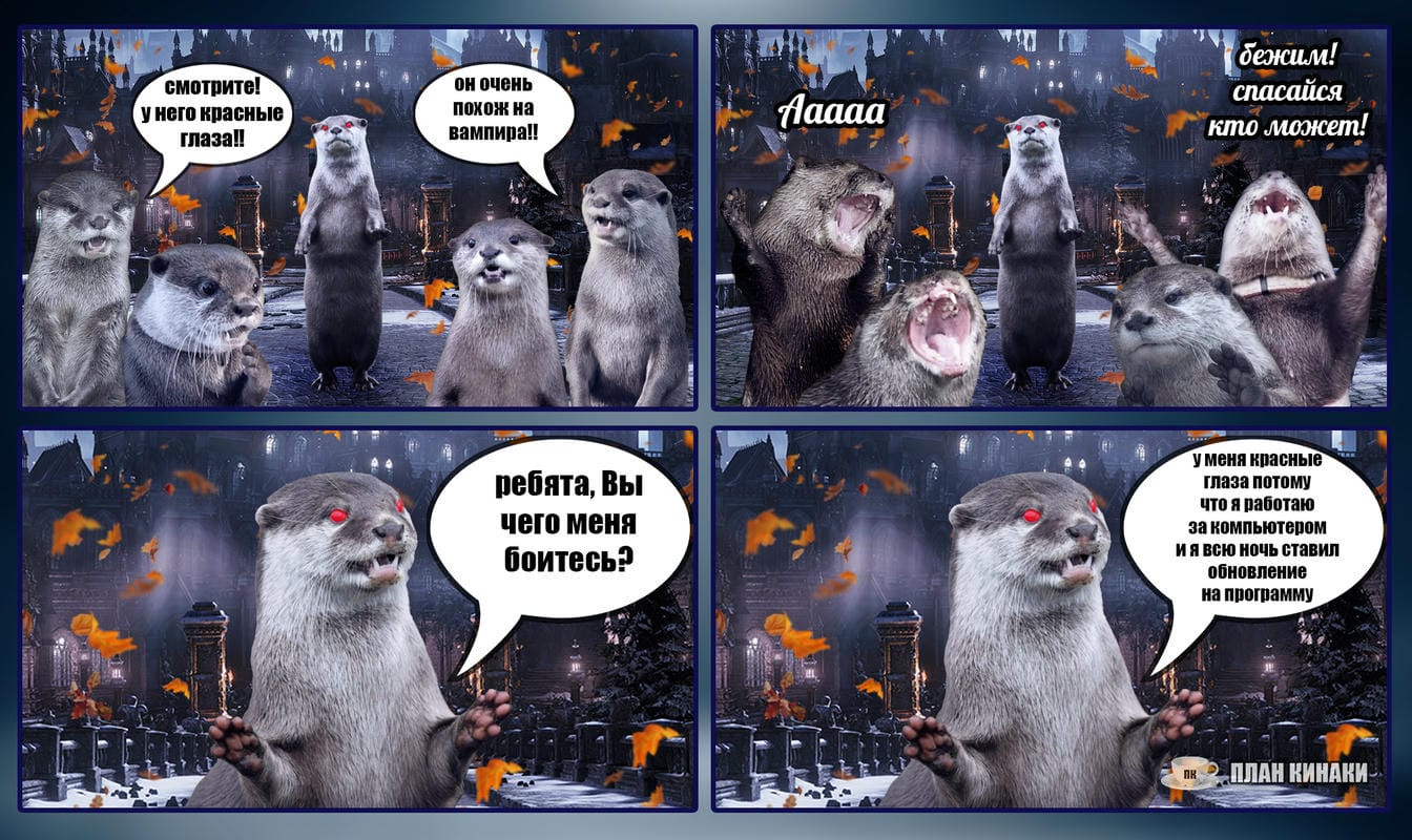 План Кинаки - мемы про выдр и других животных