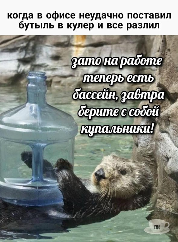 План Кинаки - мемы про выдр и других животных