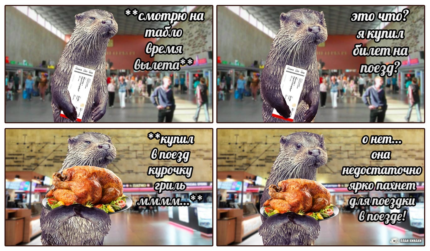 План Кинаки - мемы про выдр и других животных