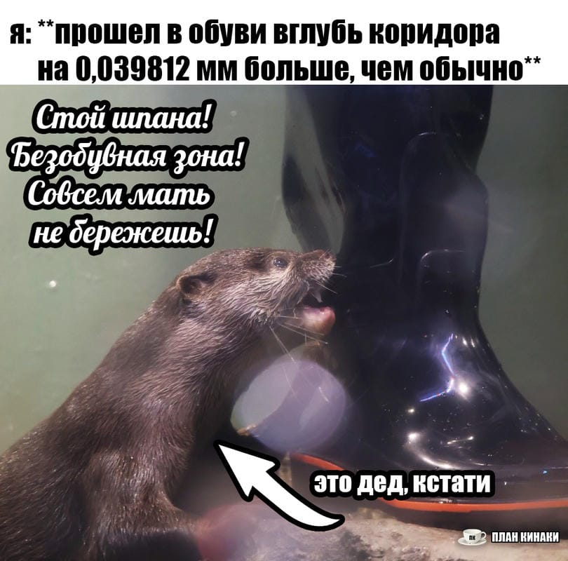 План Кинаки - мемы про выдр и других животных