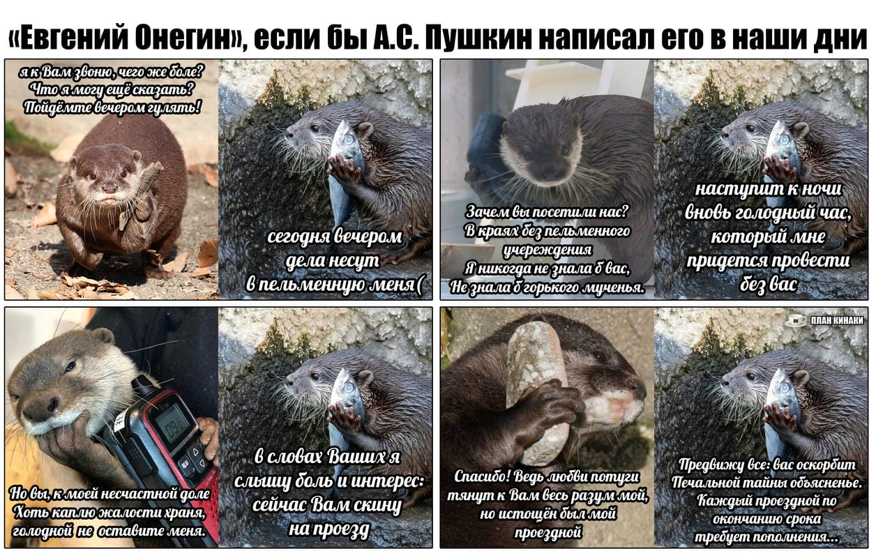 План Кинаки - мемы про выдр и других животных