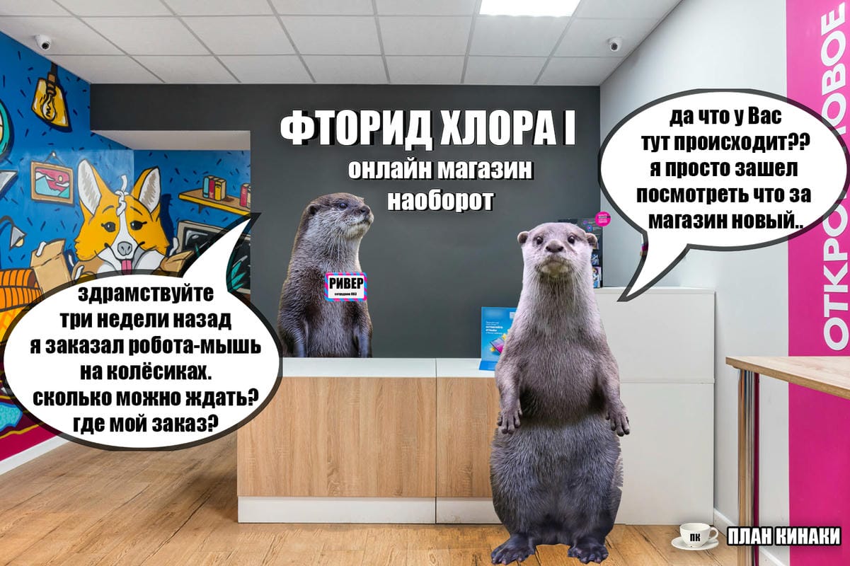 План Кинаки - мемы про выдр и других животных