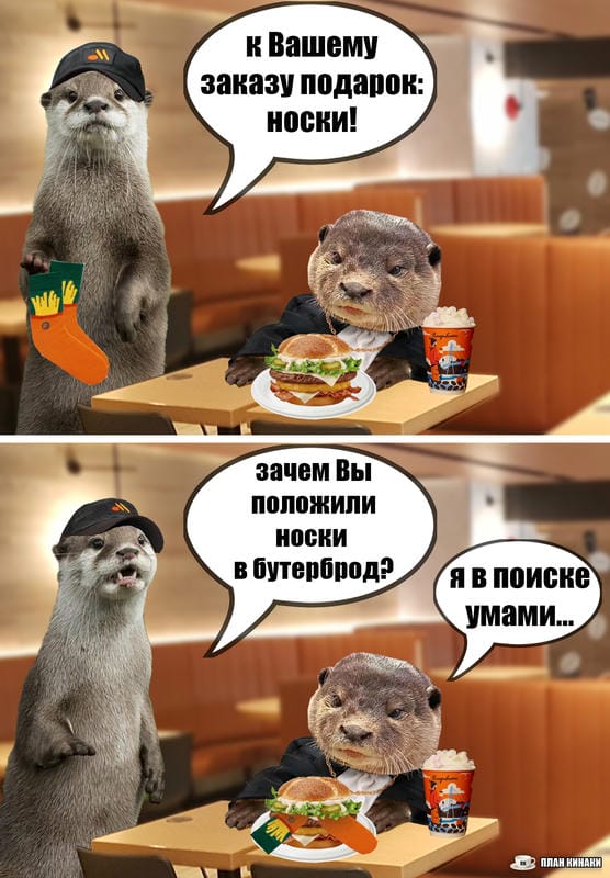 План Кинаки - мемы про выдр и других животных
