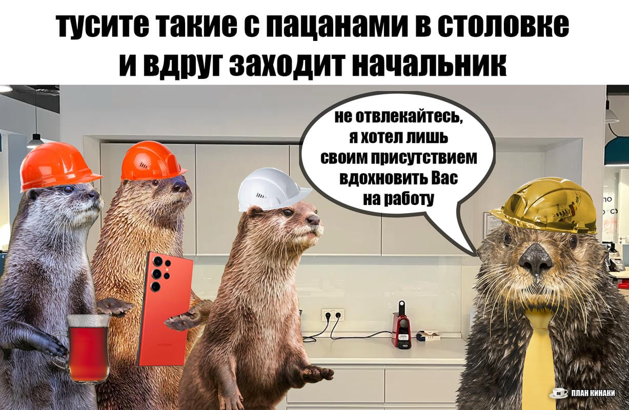 План Кинаки - мемы про выдр и других животных