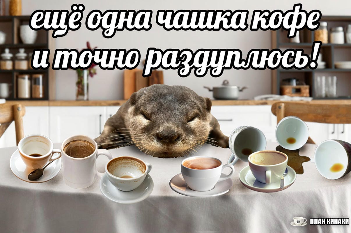 План Кинаки - мемы про выдр и других животных