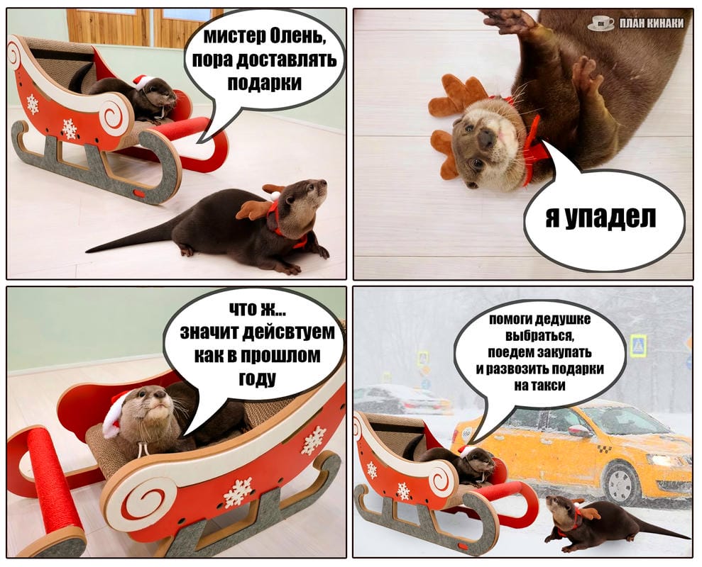 План Кинаки - мемы про выдр и других животных