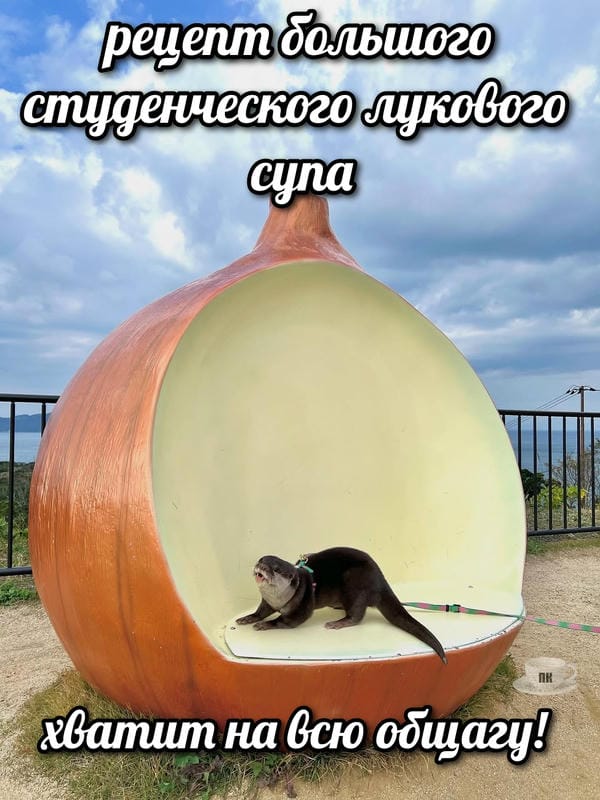 План Кинаки - мемы про выдр и других животных