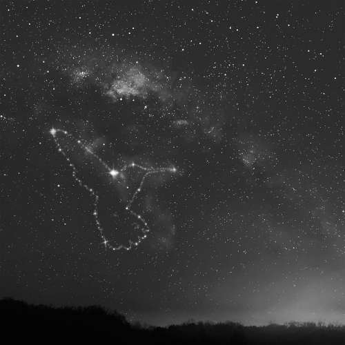 Random Movement - Feels Like It Used To(2019)