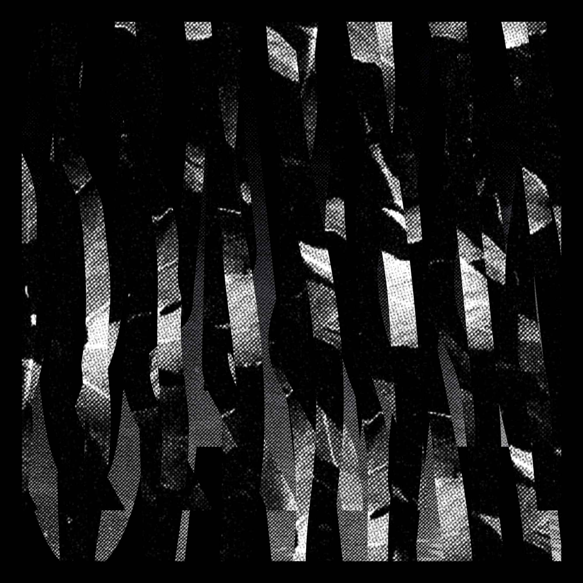 Ivy Lab - Jagged Roots(2020)