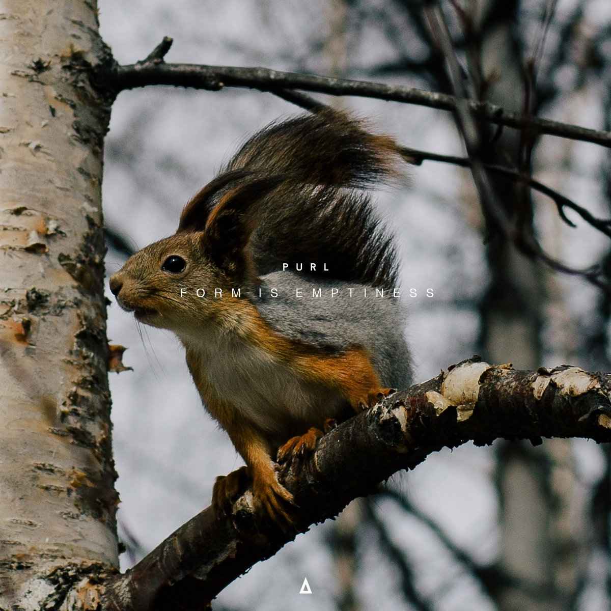 Purl - Form Is Emptiness(2016)